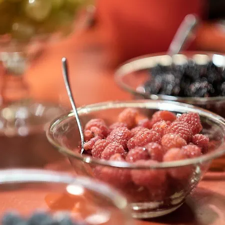 Palazzetto Rosso - Art Hotel Siena